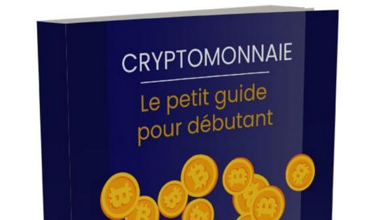 Crypto monnaie : petit guide du débutant